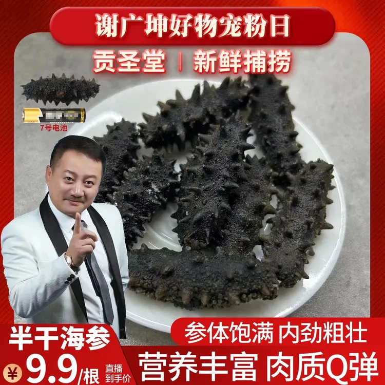 【坤哥优选】贡圣堂半干海参