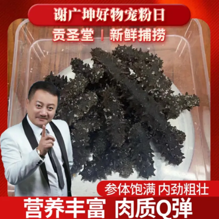 【坤哥优选】贡圣堂盐渍海参