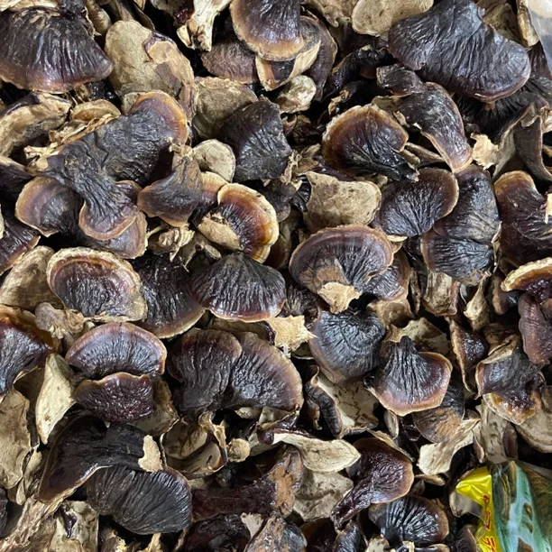 【云姐优选】金边赤灵芝菇 250g/500g