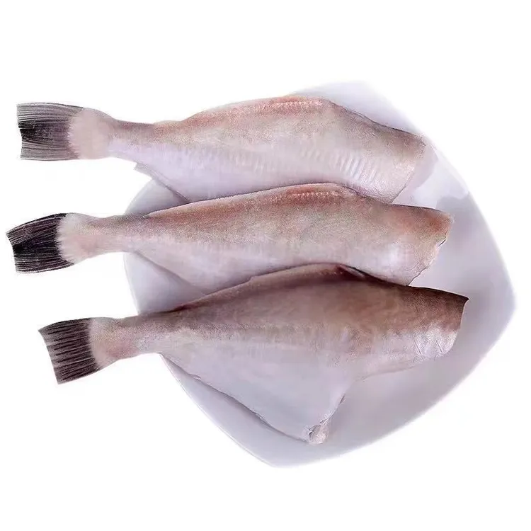 三去马面鱼耗儿鱼全规格耗儿鱼火锅食材剥皮鱼扒皮鱼马面鲀顺丰