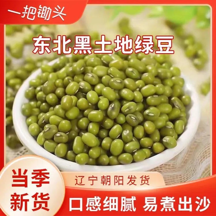 【一把锄头】东北农家新绿豆 可煮绿豆汤绿豆沙 颗粒饱满出沙率高