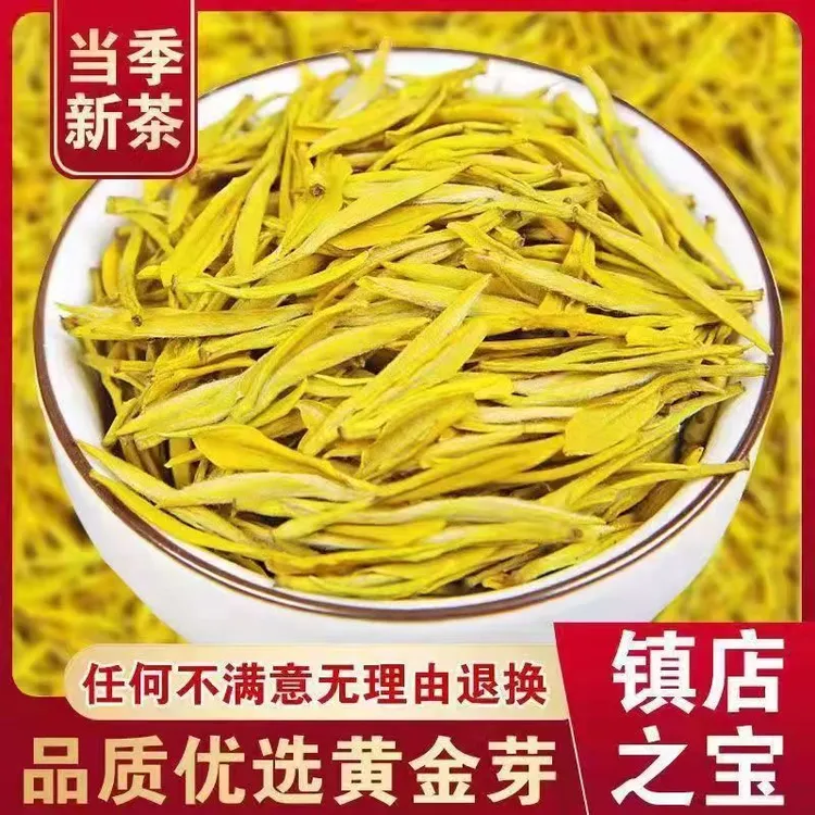 【贵点黄金芽】绿新茶高山黄金芽浓香型豆香耐泡袋罐装礼盒送礼茶叶