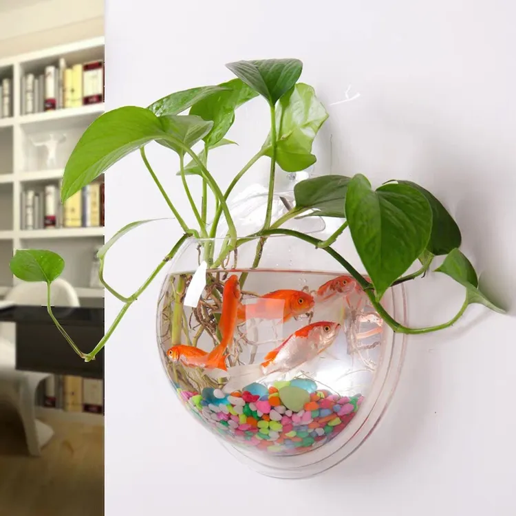 壁挂水培创意绿萝绿植花盆挂壁挂墙圆形装饰布置器皿贴墙花盆