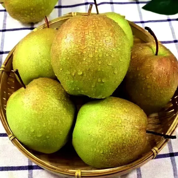 隰县玉露香梨皮薄汁多甜度刚刚好