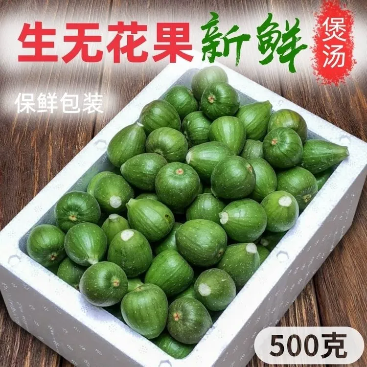 新鲜生无花果现摘青皮无花果青果非熟果不能直接生吃煲汤泡酒煮水