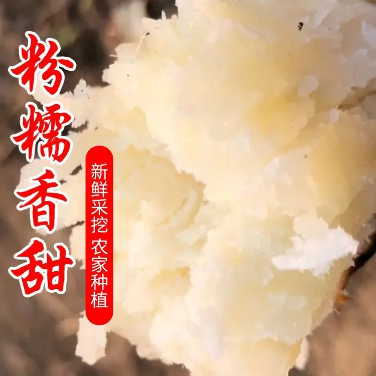  河南红皮白心红薯板栗番薯白瓤地瓜白心红芋现挖现发1斤9斤包邮