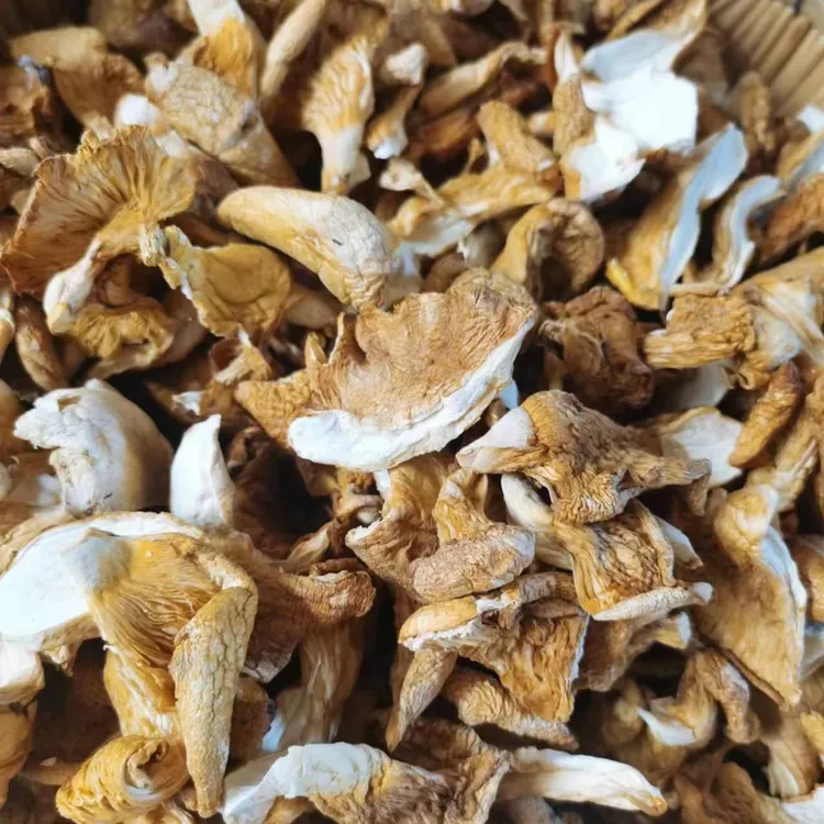 饶河特产元蘑菇一斤