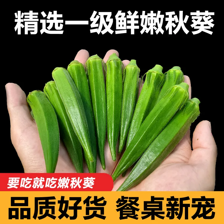 【新鲜秋葵】新鲜水果秋葵蔬菜现货速发羊角豆水果现摘现发1箱