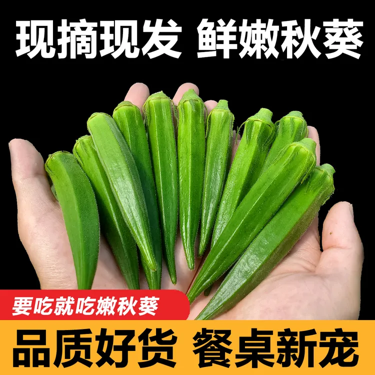 秋葵新鲜水果秋葵羊角豆半斤-5斤营养脆嫩黄秋葵新鲜蔬菜基地直发