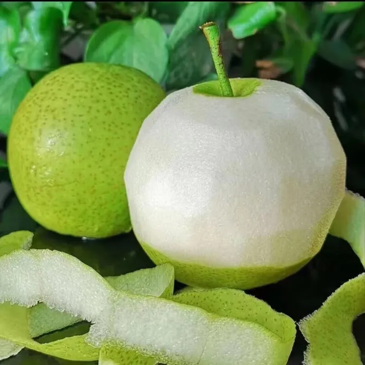 【顺丰快递】湖北襄阳5斤翠冠梨新新鲜梨子苏翠酥脆青皮梨子