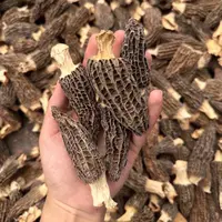 云南特产 =羊肚菌=150克-250克  煲汤 泡水 炖肉 山珍