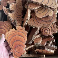 云南 下山货=鸡-血-藤=煲汤泡酒泡水500克农产品土特产