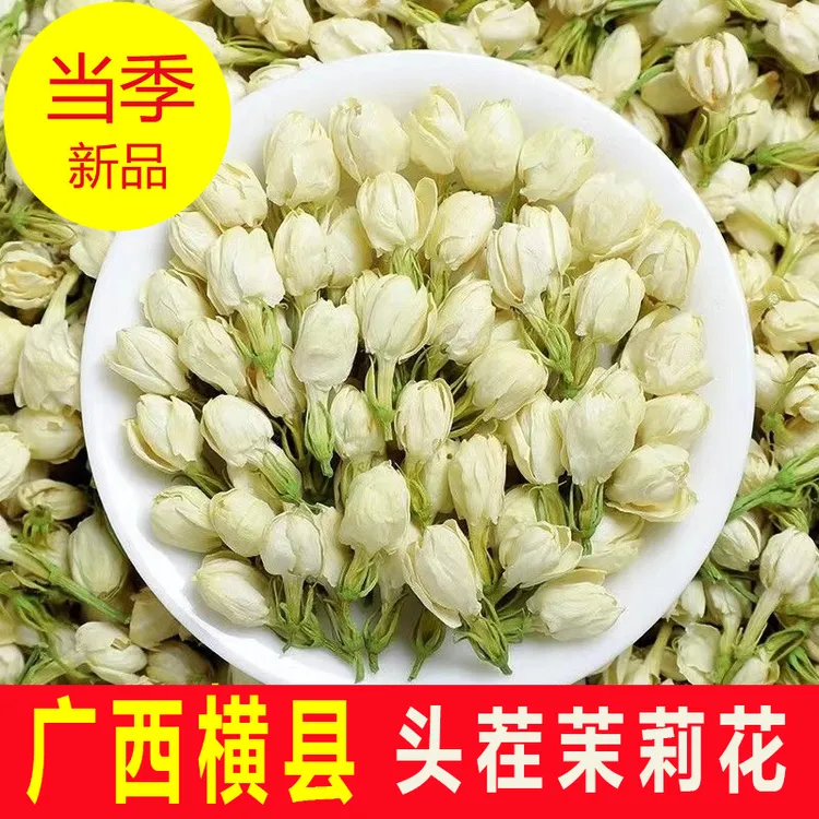 广西横县当季新花新鲜茉莉雪球茉莉花干花泡茶可搭配玫瑰胎菊