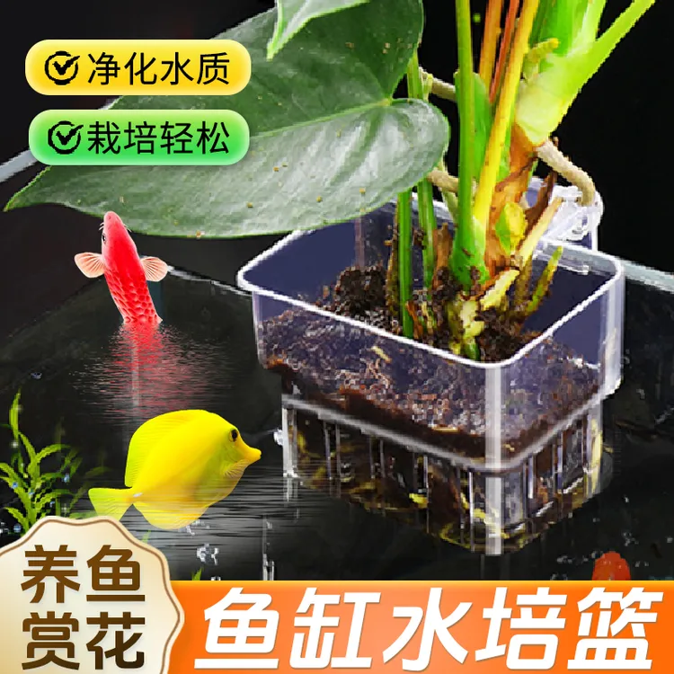 【宠大条】水培红薯定植篮鱼缸植物篮旋钮壁挂式水草种植杯造景装饰