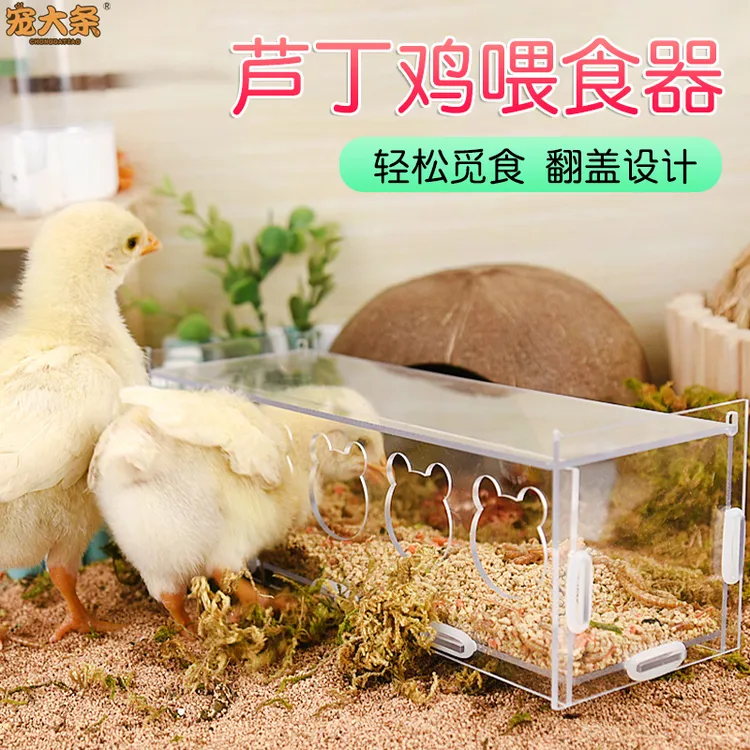 【宠大条】芦丁鸡自动喂食器亚克力下料器芦丁鸡鹌鹑喂水器宠物造景