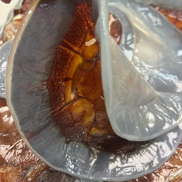 海未叶子舟山嵊泗【海蜇皮】凉拌海蜇皮净重4斤/直播间下单+1斤