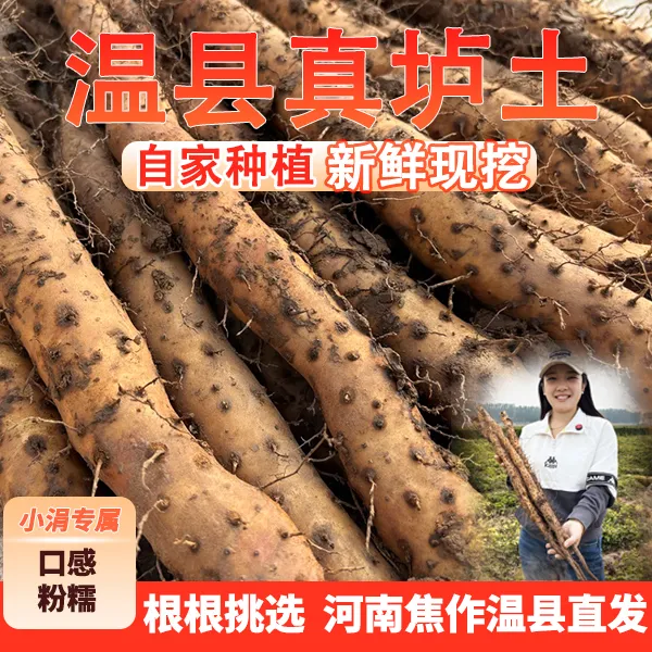 【正宗】焦作垆土地新鲜铁棍山药怀山药5斤净重