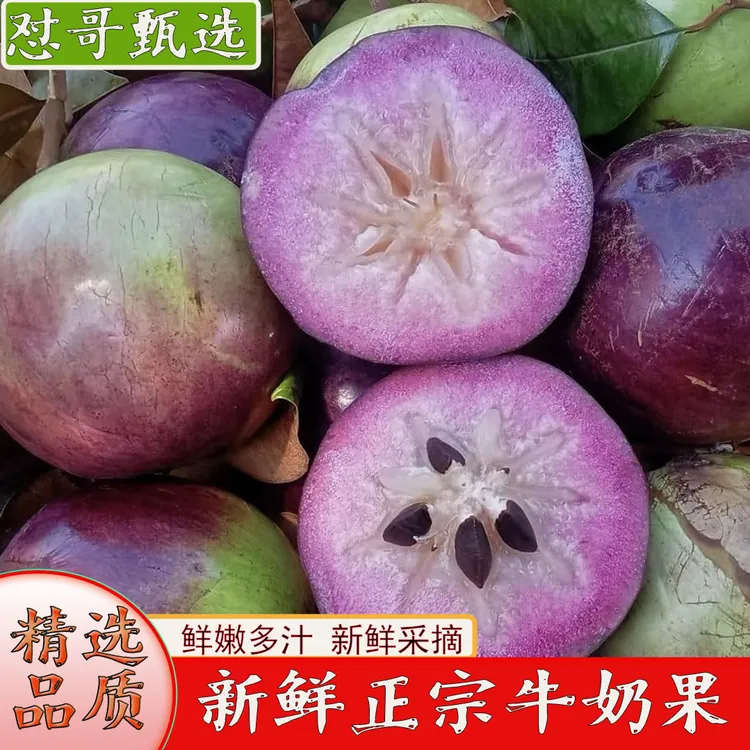 【中越边境】正宗牛奶果鲜嫩多汁稀有热带水果清甜多汁孕妈宝宝水果