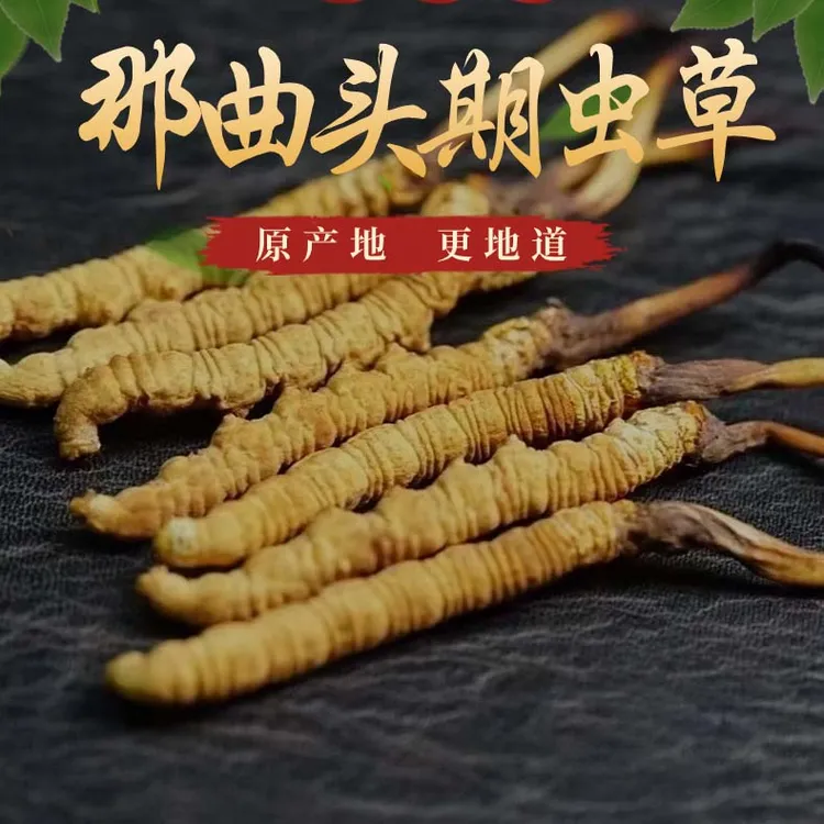 2条一克 那曲冬虫夏草