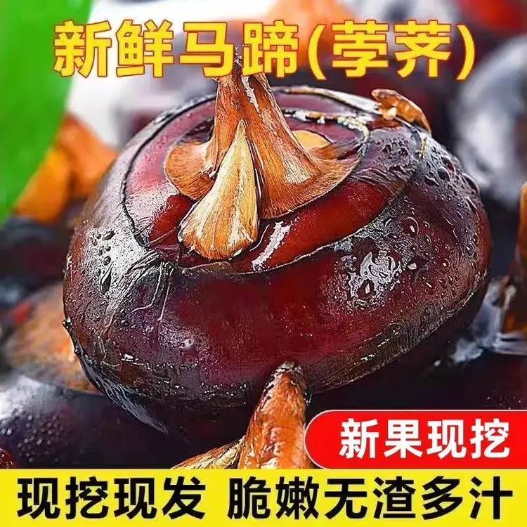 【奶香脆甜】现挖现发马蹄荸荠新鲜地栗地梨农家特产自种当季包邮