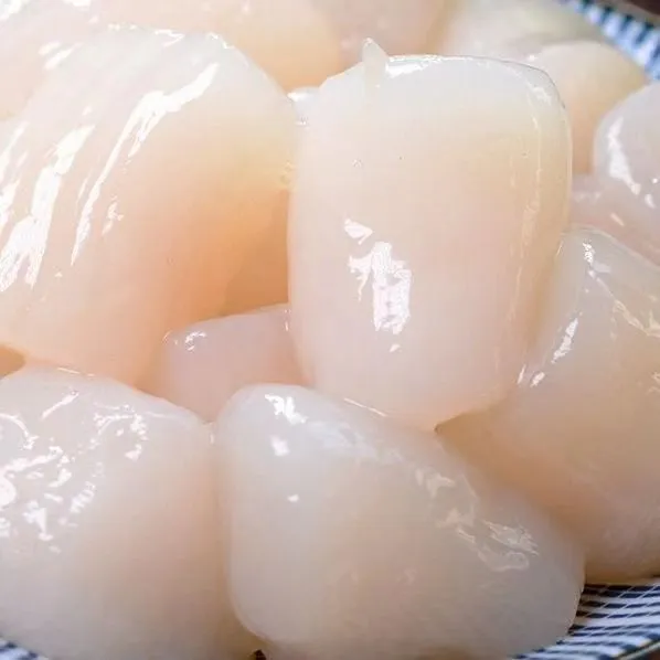 （扇贝丁）大连纯原浆海湾扇贝 4斤（80-100粒左右） （顺丰包邮）