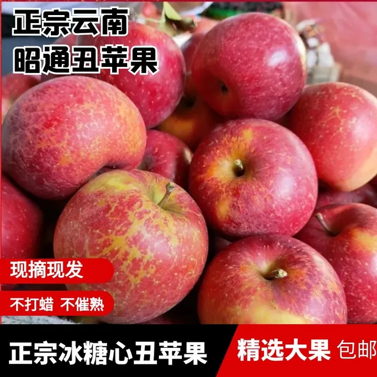 原产云南昭通苹果冰糖心原生态营养丑脆甜新鲜水果3/5/10斤现摘