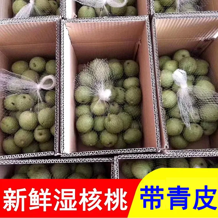 【带青皮】新鲜核桃带青皮核桃5斤9斤(运输过程青壳易发黑介意勿拍）
