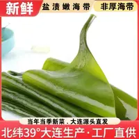 大连新鲜盐渍海带包饭凉拌煲汤火锅【5斤/含箱】