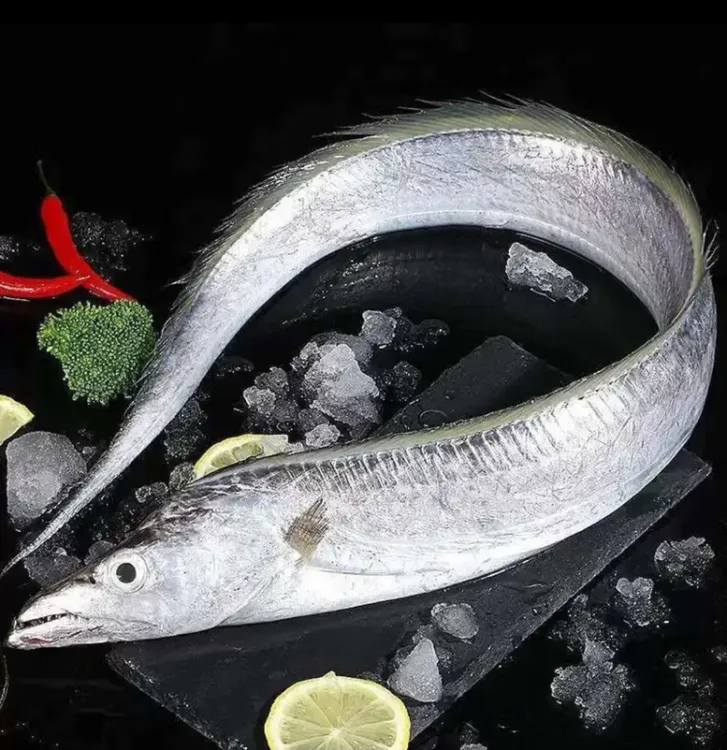 海捕带鱼3-4指宽带鱼 2.5kg （12段-16段)  切断发货
