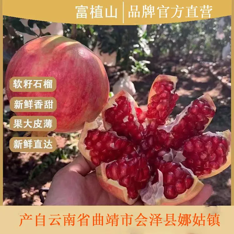 云南会泽盐水软籽石榴-10-12个果装含箱5kg-新鲜香甜饱满皮薄品质