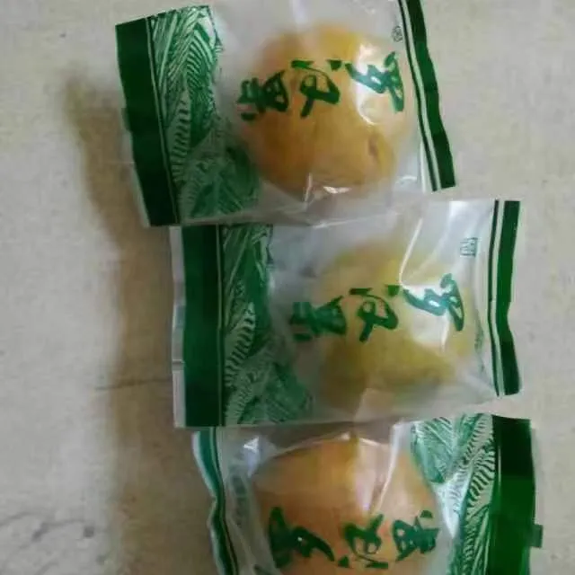 （顺丰包邮）桂林龙胜的生态罗汉果低温脱水独立包装特果