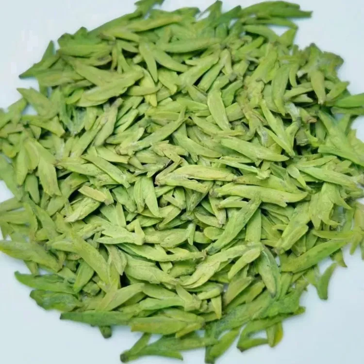 2025年新茶乌牛早鲜叶加工茆峰绿茶龙井茶清香鲜爽好茶