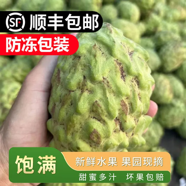 迦迦乐【顺丰包邮】广西五年老树花皮释迦果新鲜番荔枝凤梨释迦果