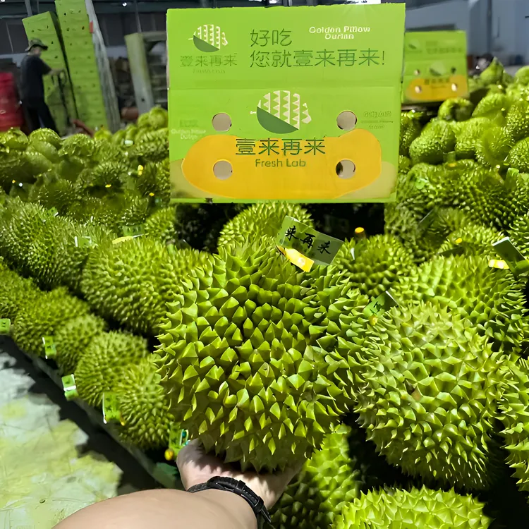 【壹来再来】越南干尧榴莲A果 包4房 顺丰包邮  整箱发货
