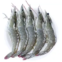 大号30-40规格 活冻海虾 大虾 海对虾 15-17只/斤 净重3.5斤