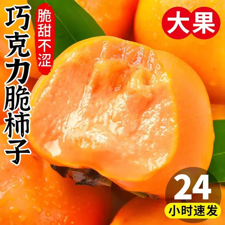 山西运城阳丰脆柿应季新鲜水果现摘现发巧克力脆柿子批发