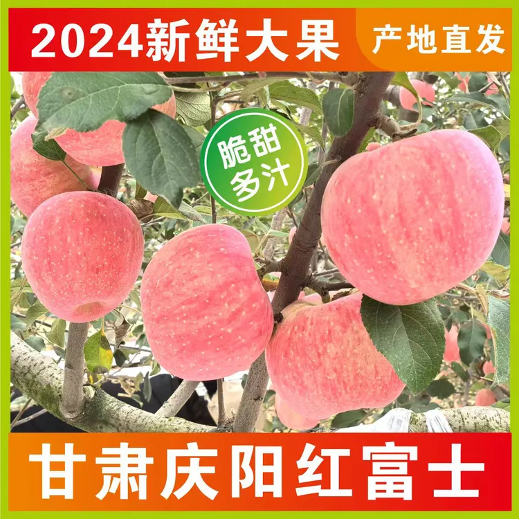甘肃庆阳红富士苹果产地直发新鲜脆甜多汁皮薄黄土高原天然水果