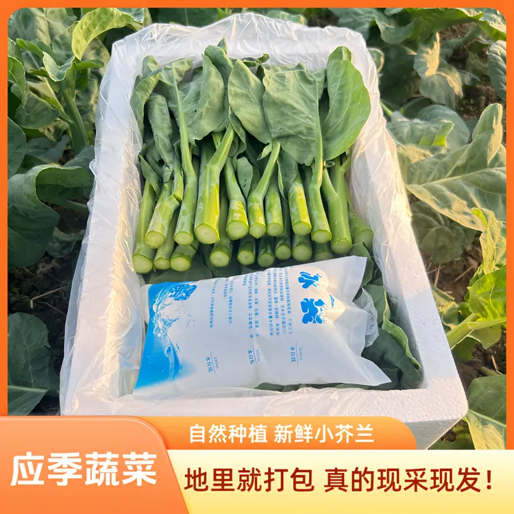 新鲜农家小芥兰应季蔬菜苔叶子菜湖北产地现采直发自然种植农产品