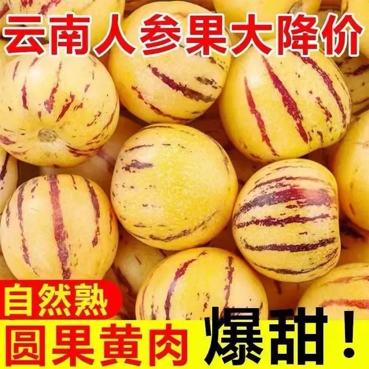 2爆汁云南正宗人参果应季特级现摘七彩人生果新鲜圆果