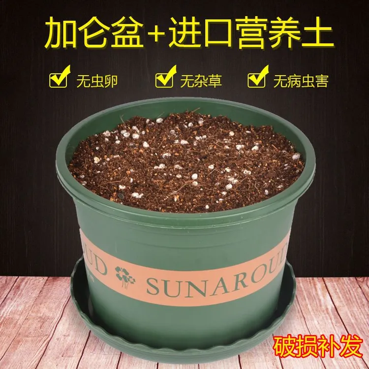 加仑盆花盆带土营养土花卉绿植通用塑料花盆养花种菜泥土栽培土壤
