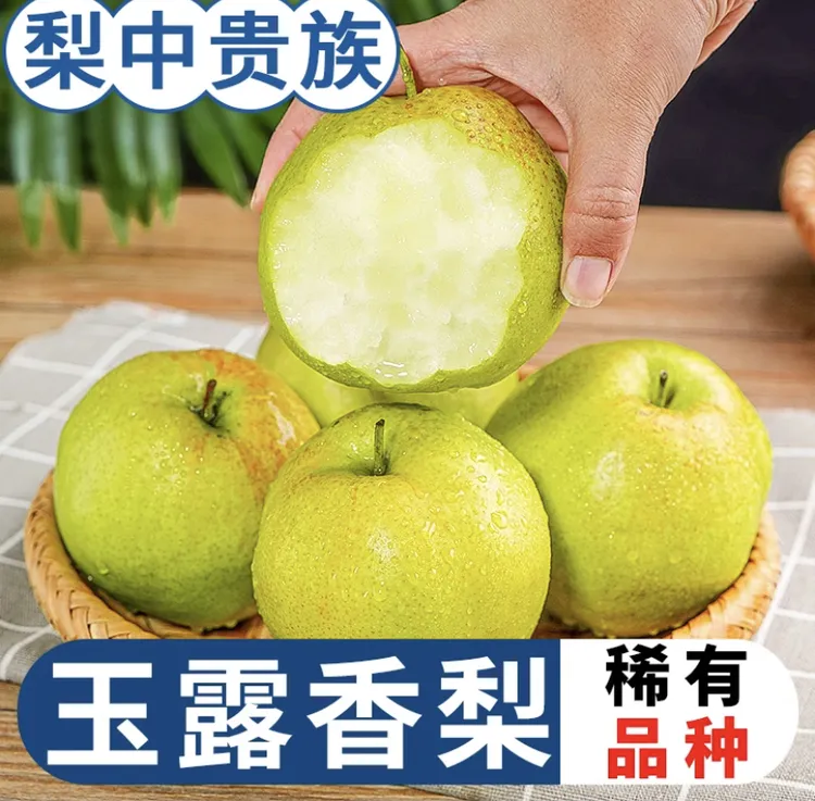 正宗山西玉露香梨酥脆甘甜无渣皮薄香甜多汁产地直发