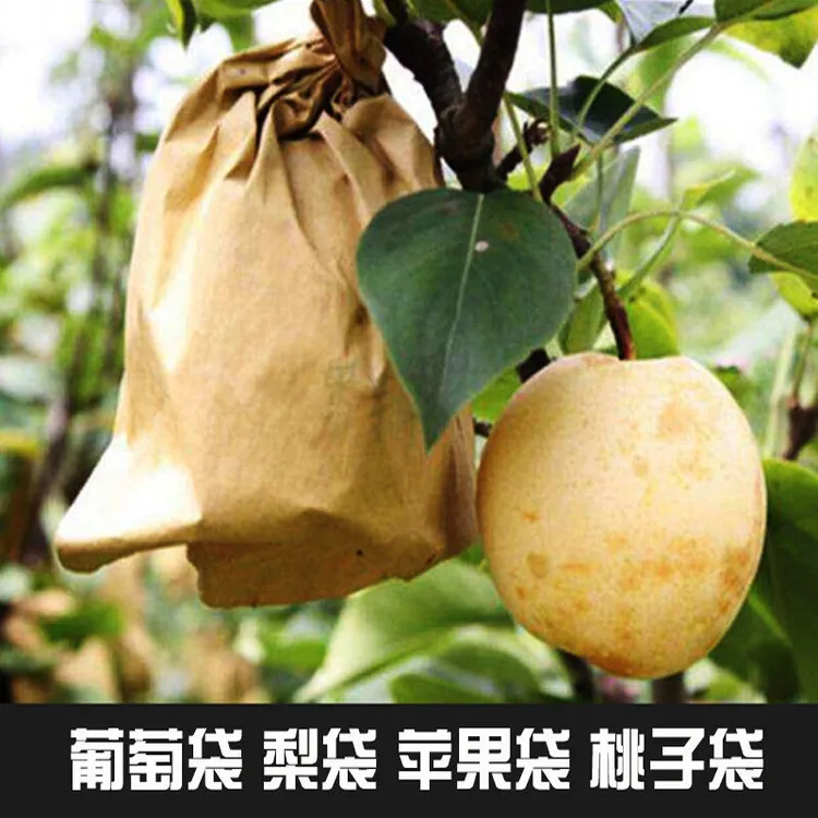 柑橘防晒贴水果套袋梨苹果枇杷芒果桃橙子防水套袋防晒防雨防虫袋