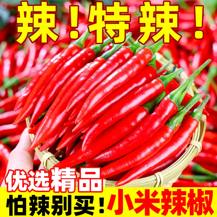 头茬新鲜小米辣椒现摘特辣朝天椒辣椒炒菜尖椒批发薄皮特辣100g起