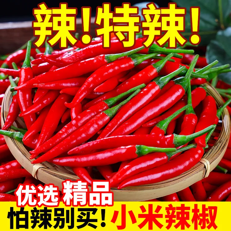 云南小米椒新鲜现摘特辣鲜红爆香朝天椒小米辣剁椒泡椒饭店批发