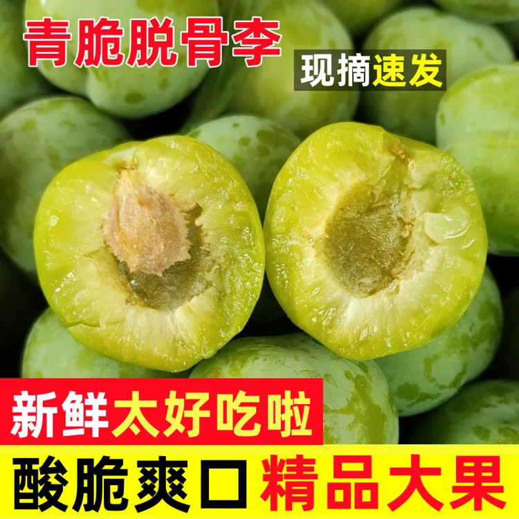 【现摘顺丰速发】青脆脱骨李孕妇水果整箱脆甜酸脆爽口3斤5斤包邮