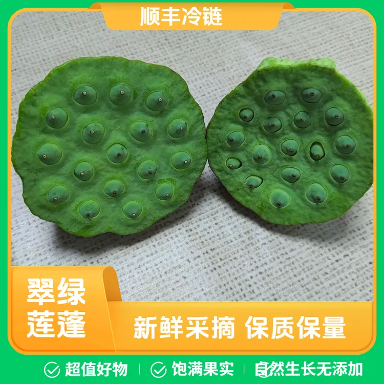 新鲜莲蓬应季嫩甜生吃现摘孕妇莲蓬新鲜生吃现摘嫩莲子