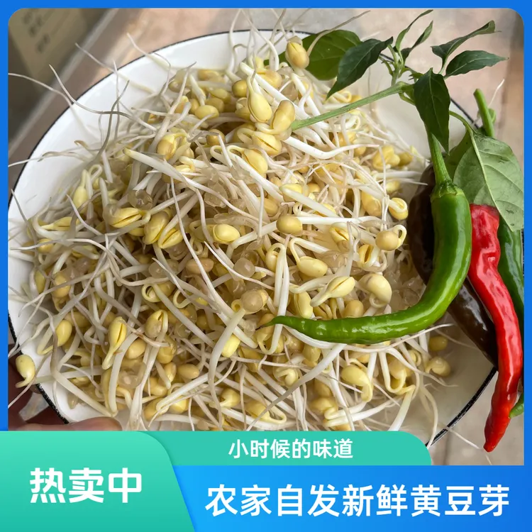 苏北农家自发新鲜黄豆芽小豆芽3斤/5斤包邮