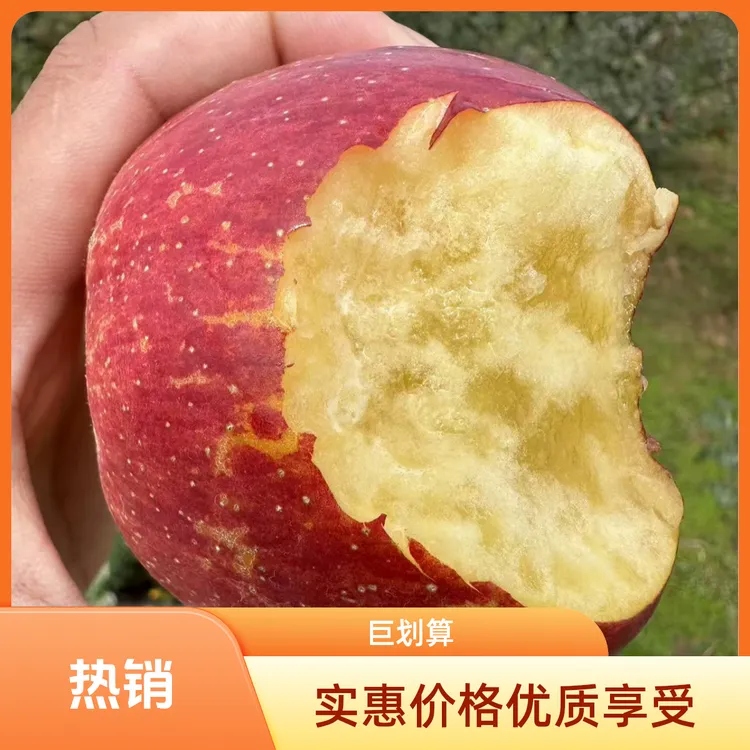 【保证糖心】大凉山高山晚熟冰糖心丑苹果现摘现发新鲜水果5/8斤