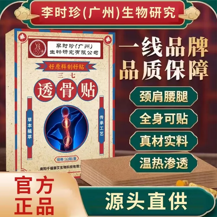 【拍一发十盒120贴】李时珍透骨贴草本萃取渗透 颈肩腰腿膝12贴/盒