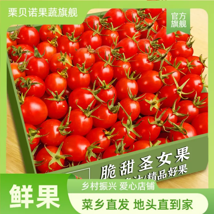 圣女果水果新鲜樱桃番茄千禧西红柿子生吃自然熟风味小番茄